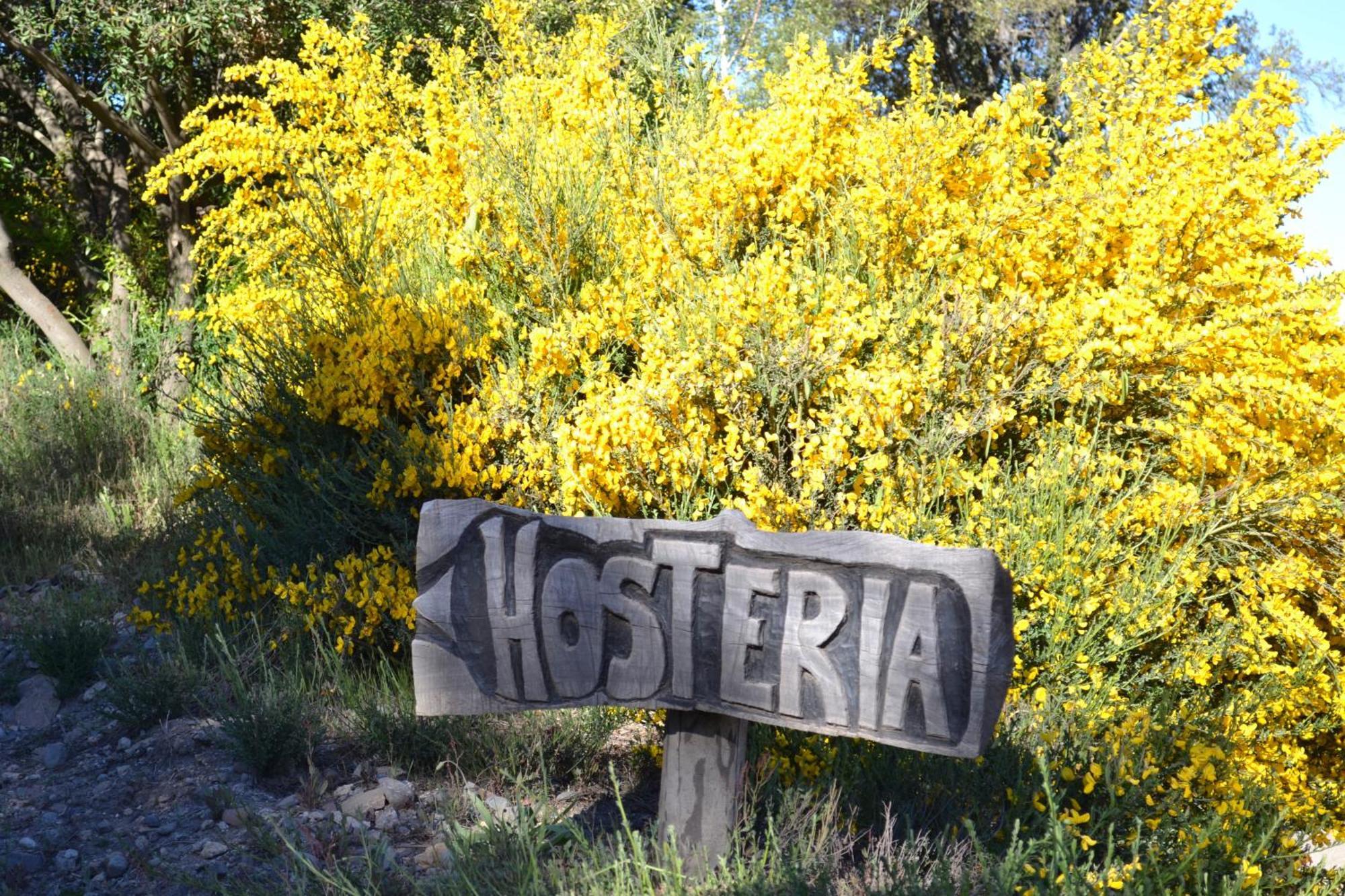 Sieteflores Hosteria De Montana San Martín de los Andes 외부 사진